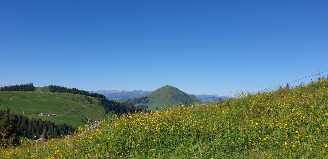 Ferienwohnung Sappl Scheffau am Wilden Kaiser Exterior foto
