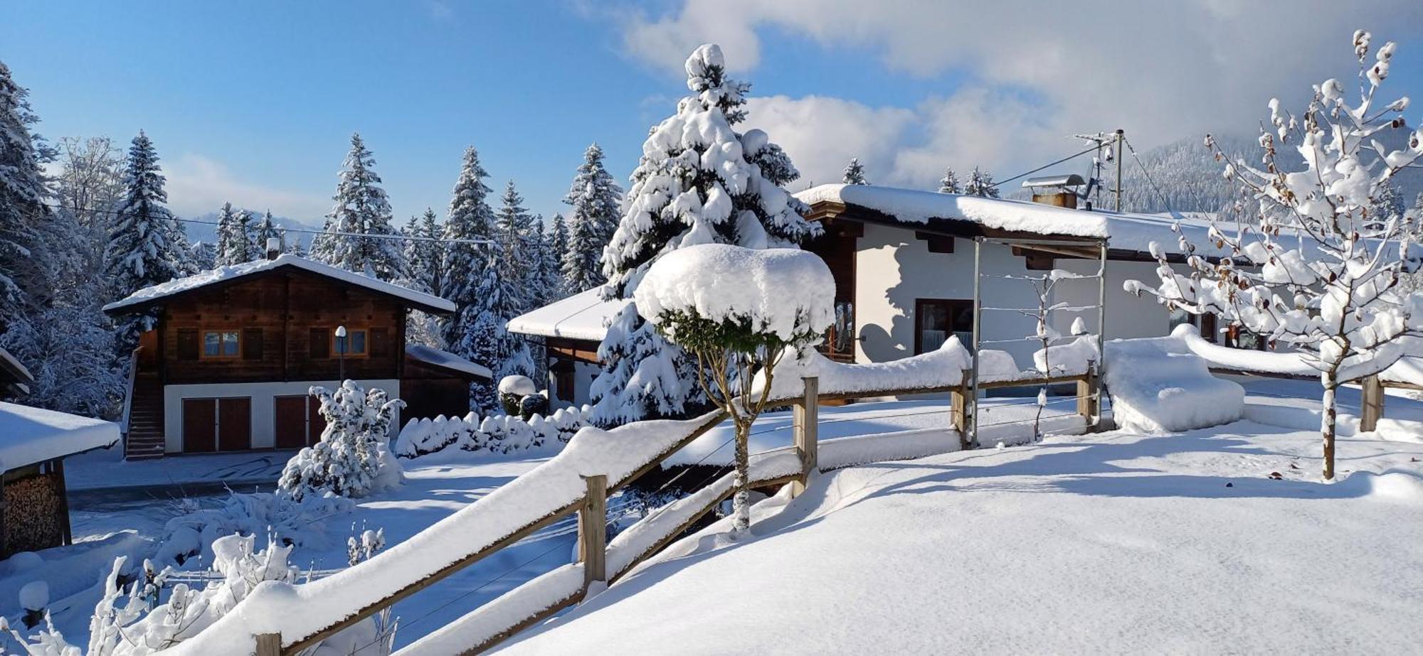 Ferienwohnung Sappl Scheffau am Wilden Kaiser Exterior foto